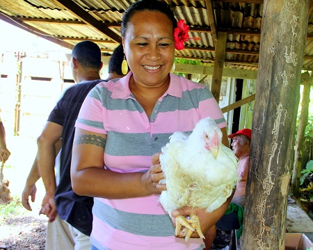 CNR Poultry Research