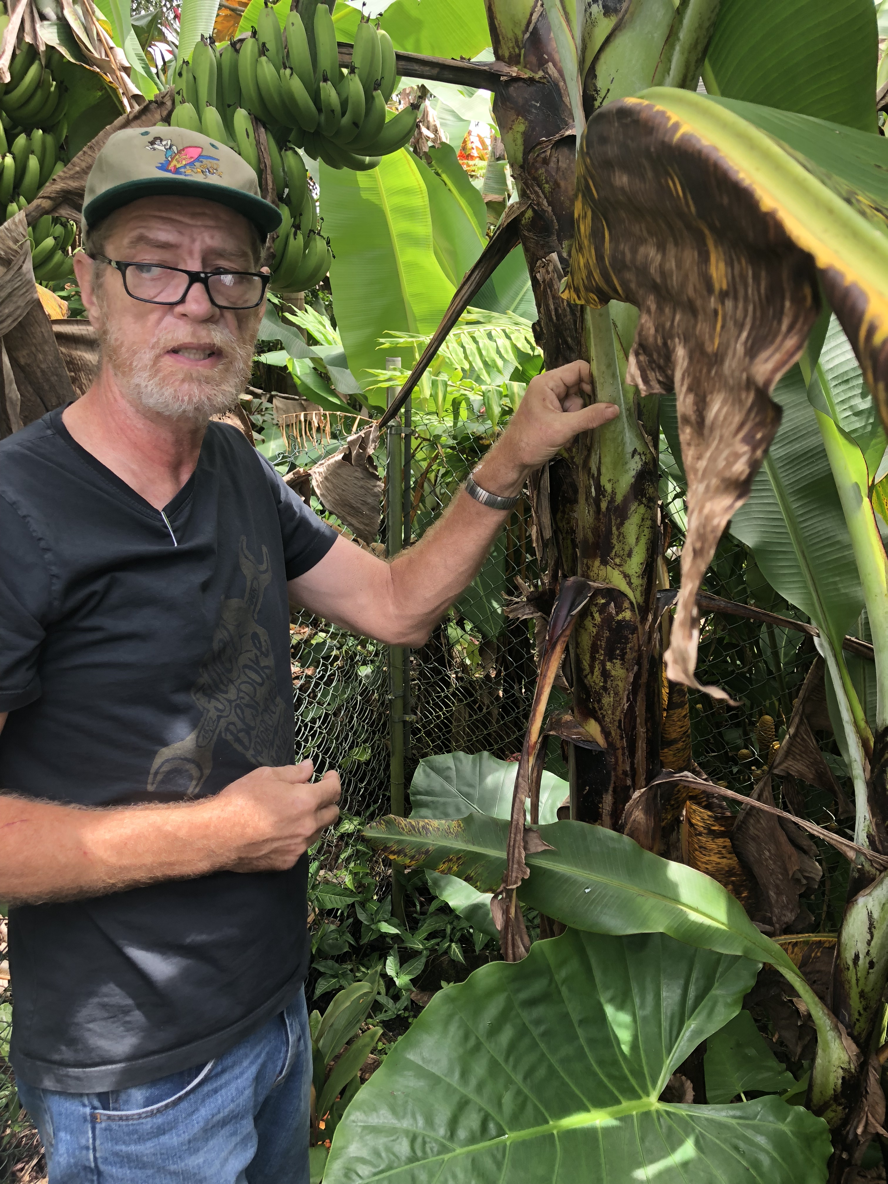 Dr. Casper Vanderwoude of the University of Hawaii's Ant Lab in Hilo, visited the Territory to offer advice