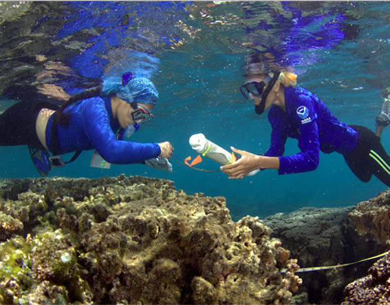 Teacher and Student snorkeling over coral